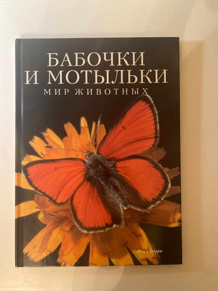 Бабочки и мотыльки,мир животных #1