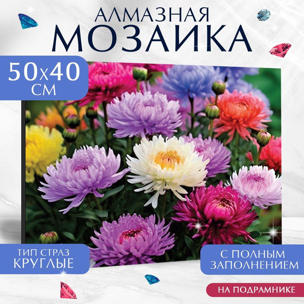 Алмазная мозаика Школа талантов цветы "Астры" на холсте 40х50 см с полным заполнением на подрамнике, #1