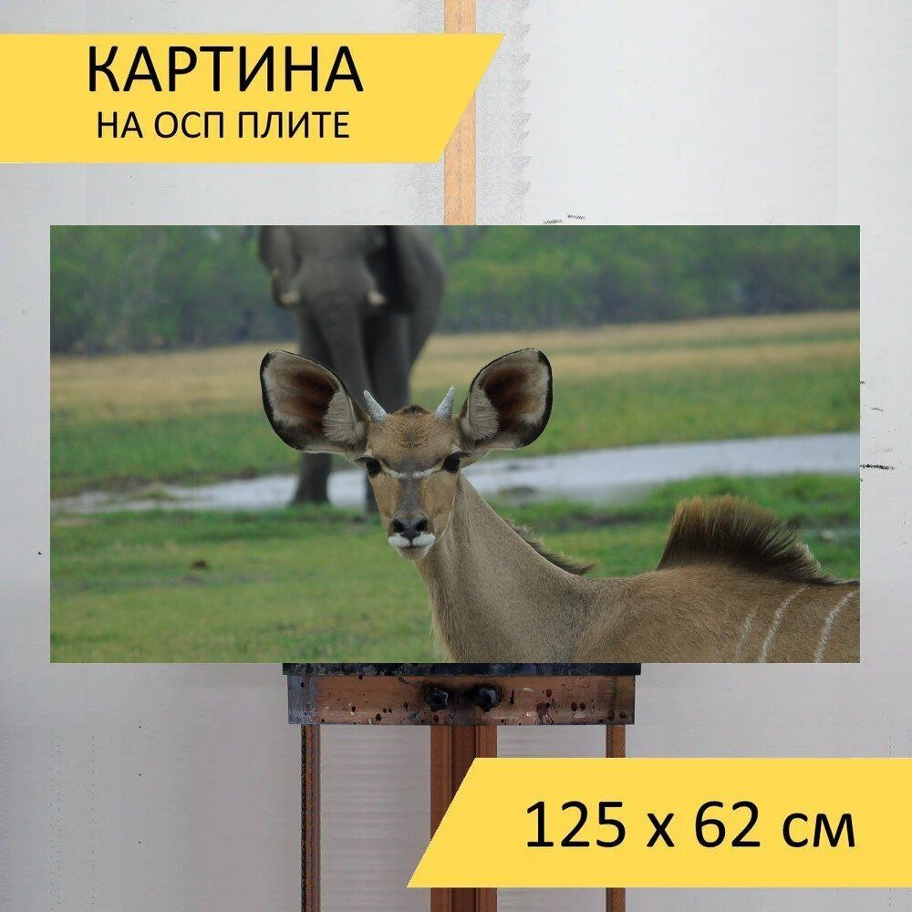 LotsPrints Картина "Слон, африка, бивень 31", 125  х 62 см #1