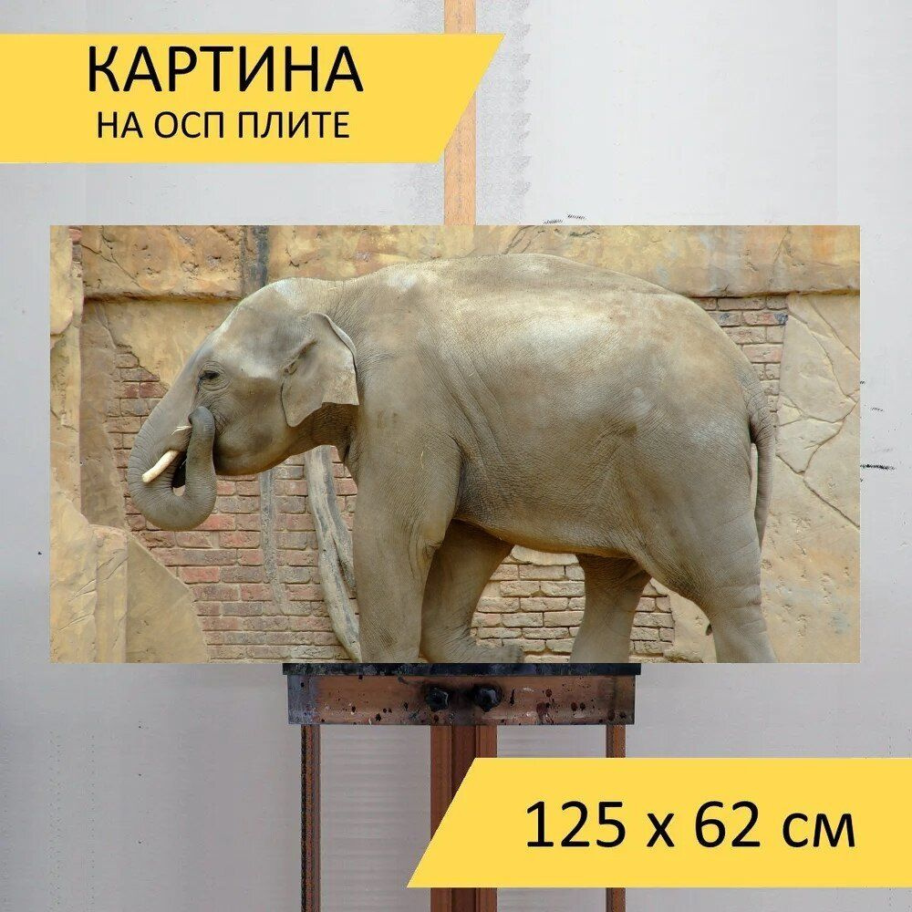 LotsPrints Картина "Слон, природа, животное 20", 125  х 62 см #1