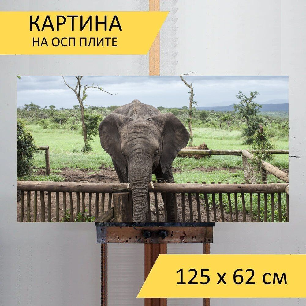 LotsPrints Картина "Слон, африка, дикая природа 92", 125  х 62 см #1