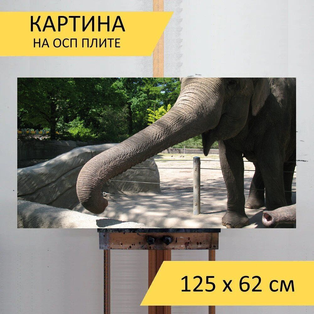 LotsPrints Картина "Слон, зоопарк, ствол 49", 125  х 62 см #1