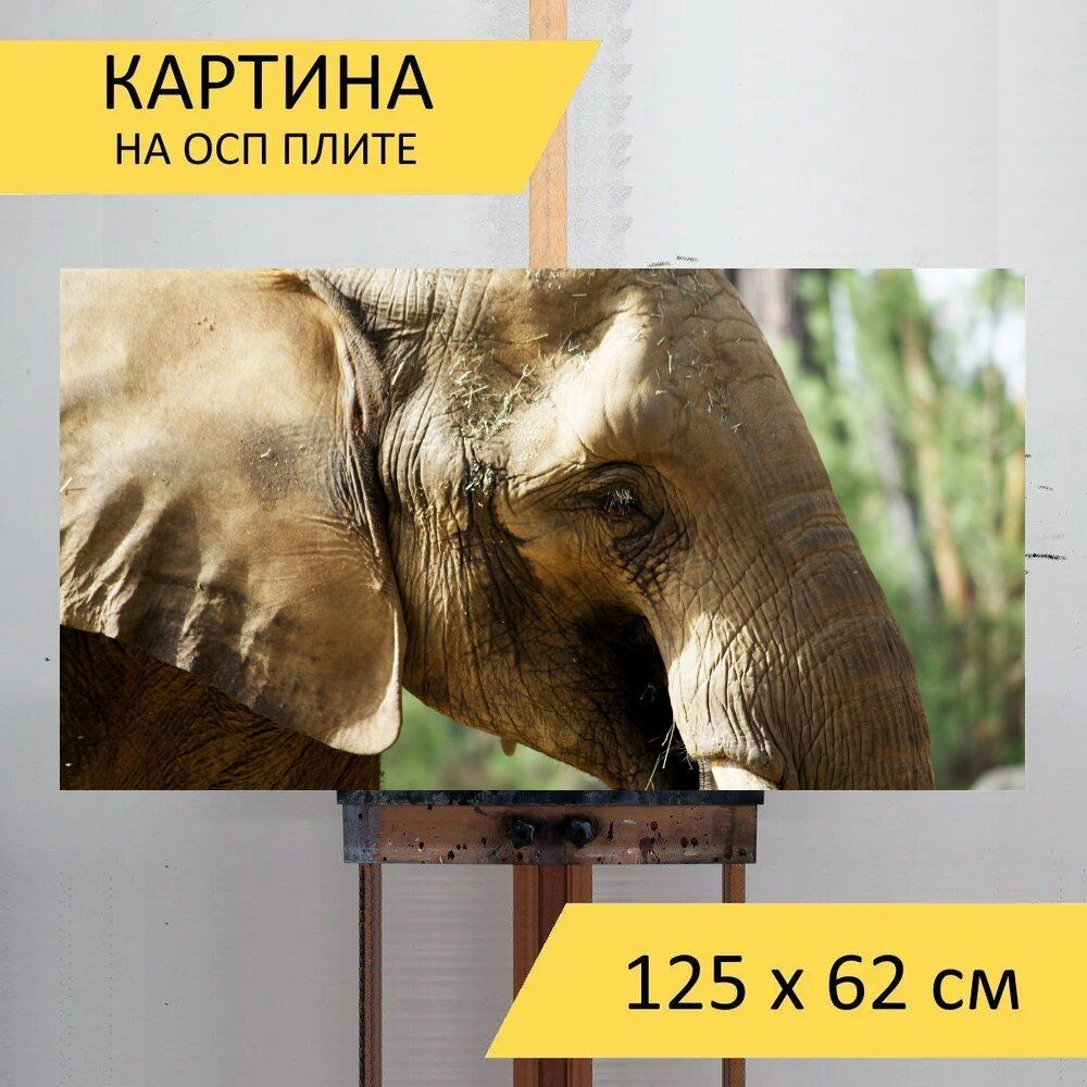 LotsPrints Картина "Слон, фауна, природа 73", 125  х 62 см #1