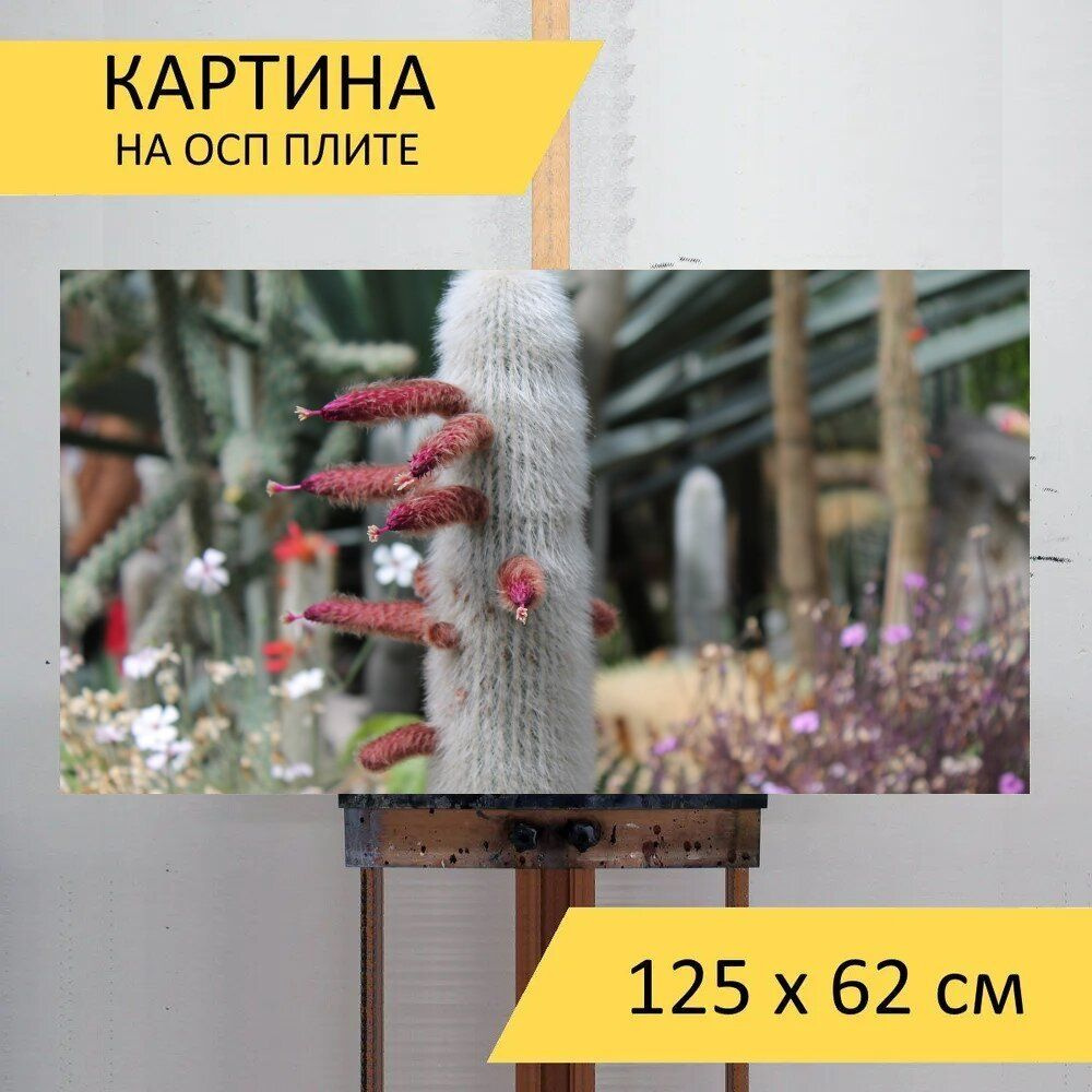 LotsPrints Картина "Кактус, закрывать, цветок кактуса 13", 125 х 62 см  #1