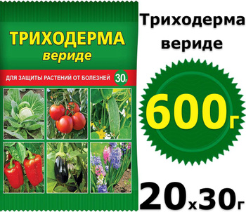 Оптимальные сроки обработки растений