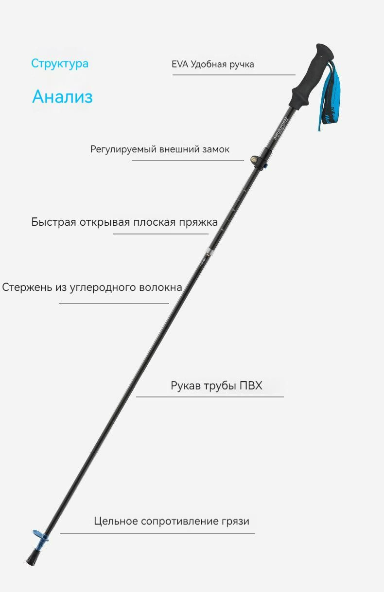 Текстовое описание изображения