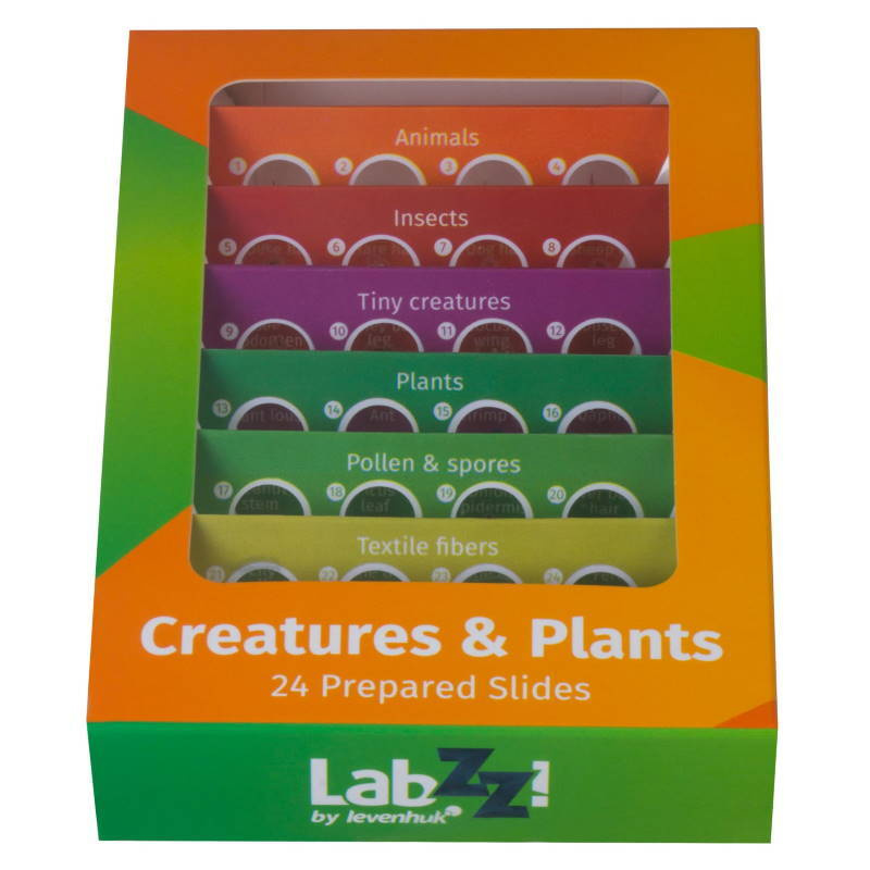 Набор микропрепаратов Levenhuk LabZZ CP24, существа и растения #1