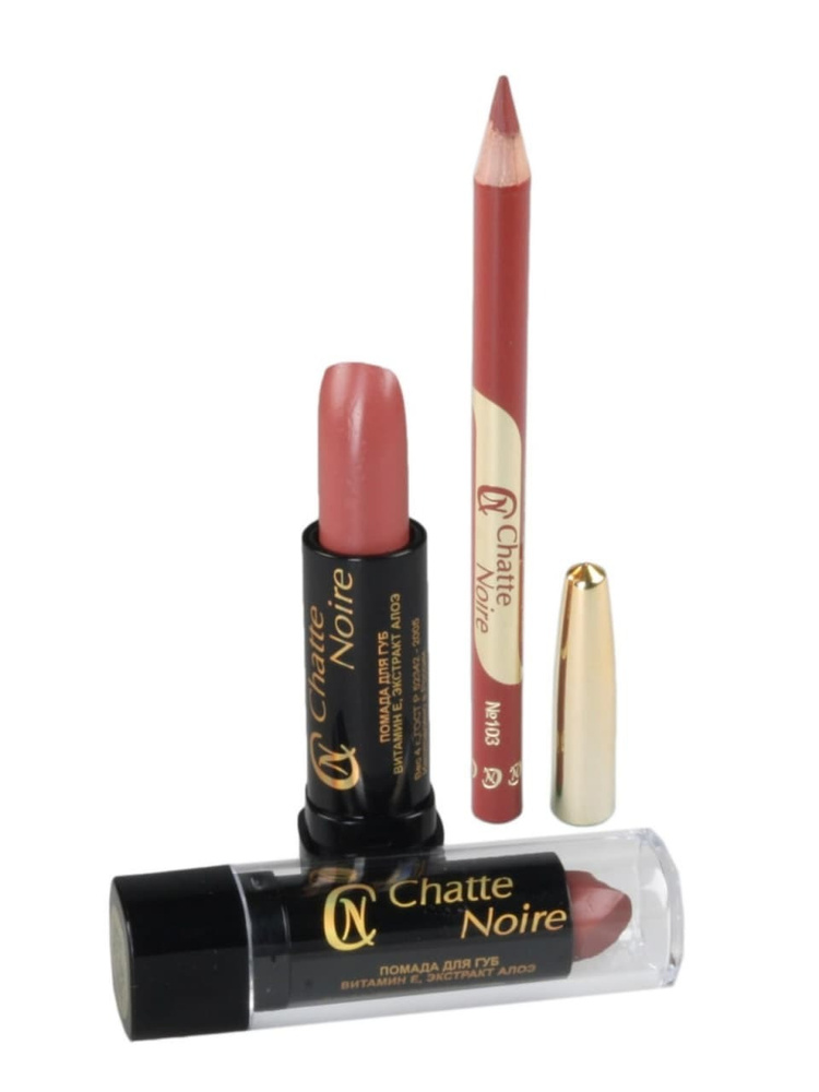 Chatte Noire Помада + Карандаш для губ №18 подарочный набор декоративной косметики для стойкого макияжа #1