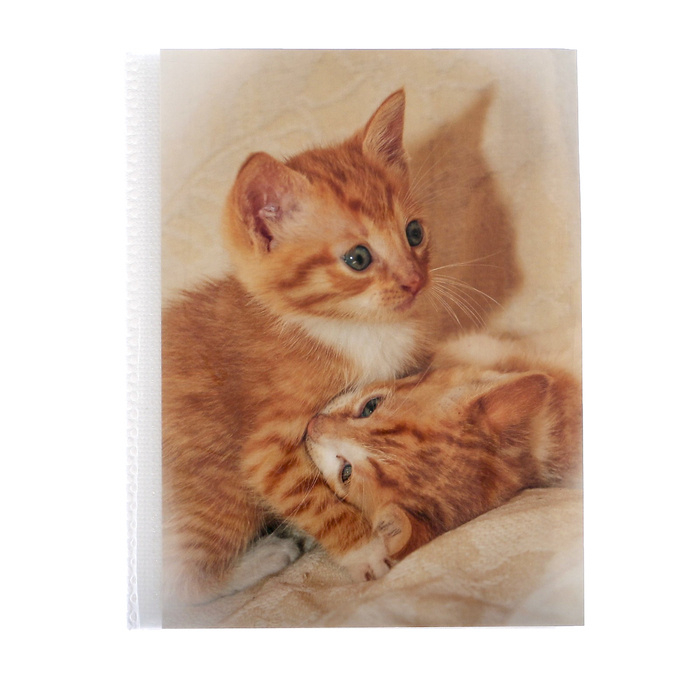 Фотоальбом Pioneer "Puppies and kittens. Рыжие котята" на 36 фото 10х15 см  #1