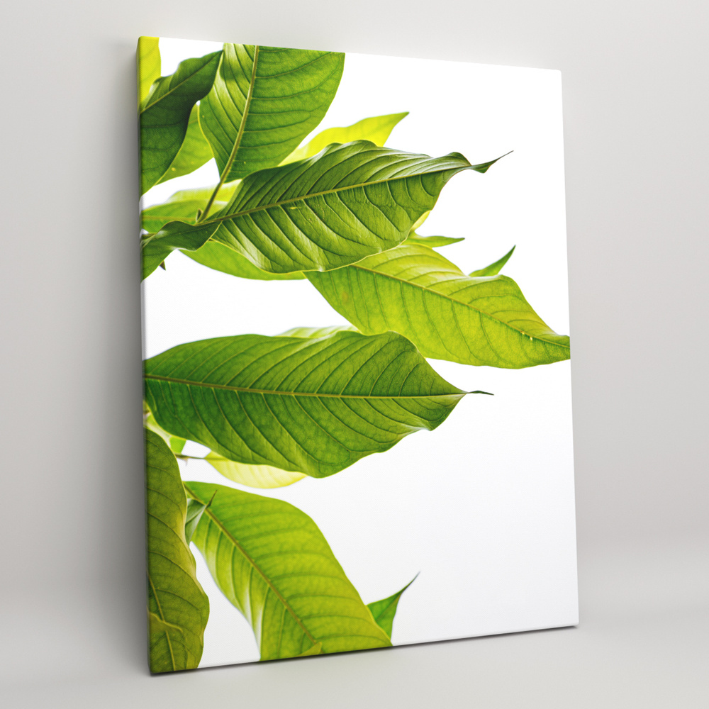 Картина на холсте (интерьерный постер) "Сочная зелень - дерево лимон" растения, с деревянным подрамником, #1