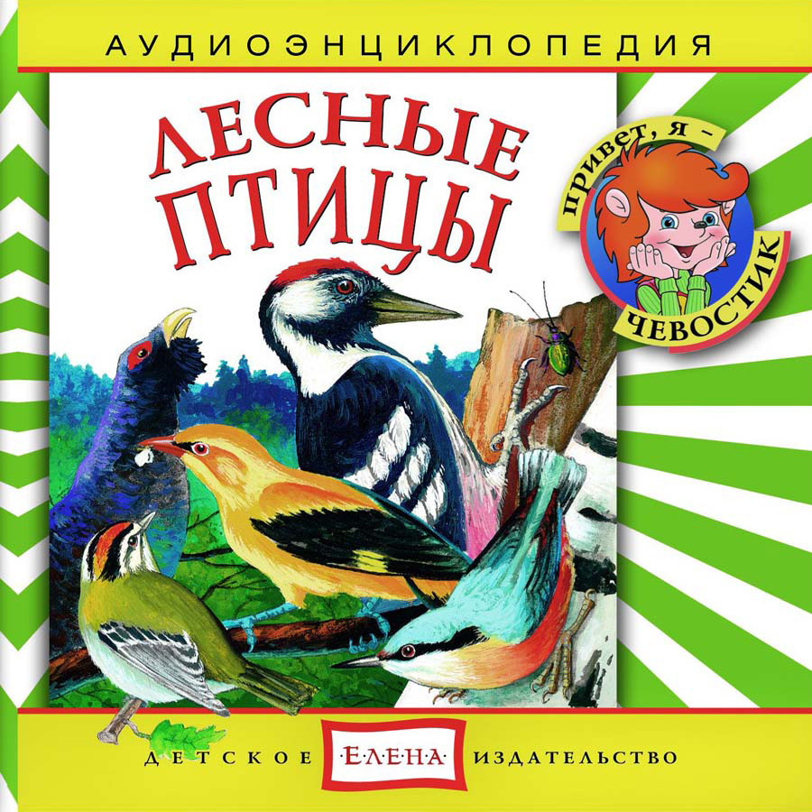 Аудиоэнциклопедия. Лесные птицы (аудиокнига на 1 аудио-CD) | Манушкина  Наталья - купить с доставкой по выгодным ценам в интернет-магазине OZON  (281929493)