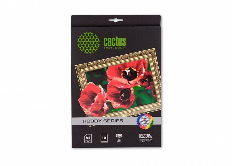 Холст А4 Cactus, 300 г/м2, 10 листов для струйной печати (CS-CA426010)  #1