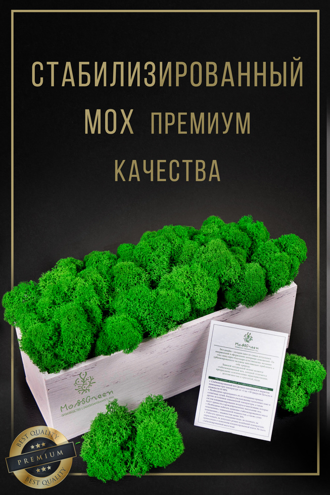 Moss Green Сухоцветы Мох, 500 гр #1