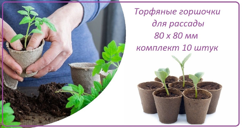 Горшочек торфяной 10 штук 80 х 80 мм, набор для выращивания цветов, овощей и других садовых и комнатных #1
