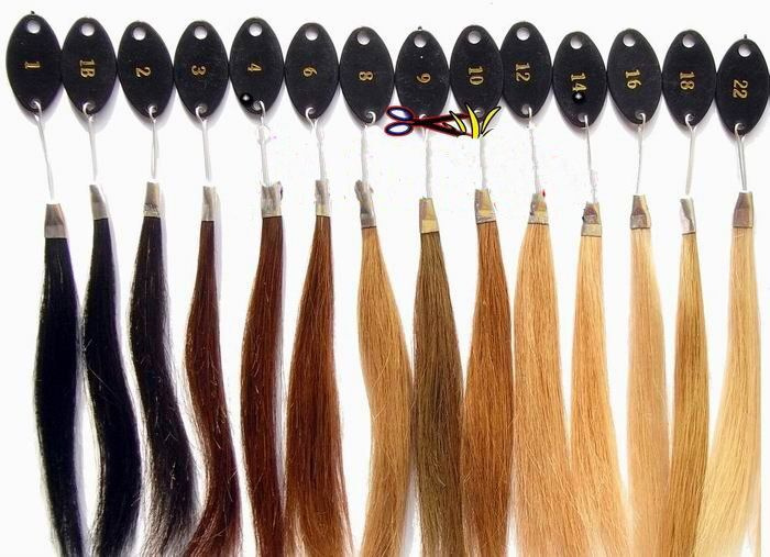 Remy Каталог натуральных волос, 14 цветов #1