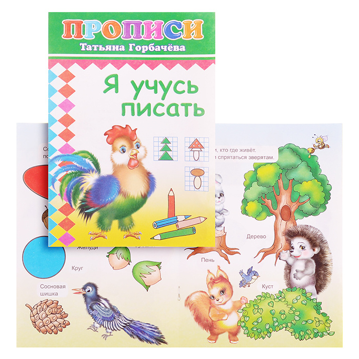 Книга прописи. Я учусь писать 6+ #1