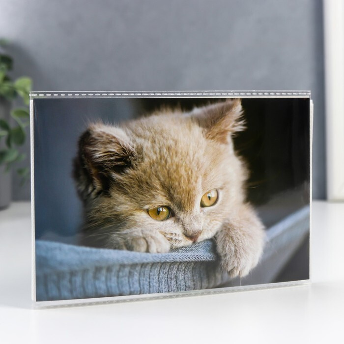 Фотоальбом Pioneer "Котейка" на 36 фото 10х15 см, 18 листов #1