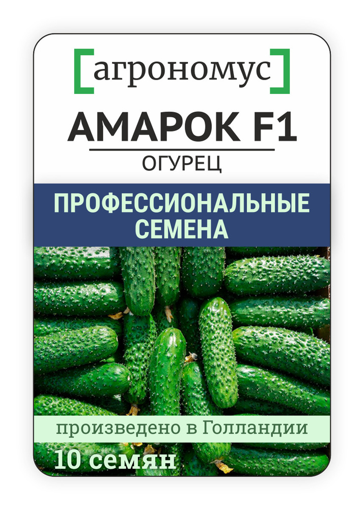 агрономус Семена ,10шт #1