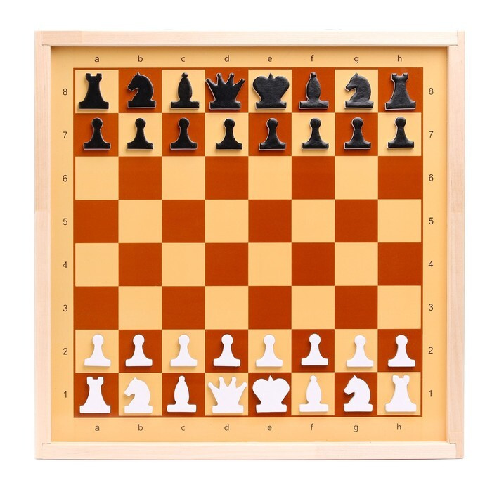 Шахматы и шашки демонстрационные магнитные #1