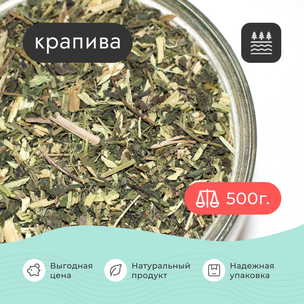 Крапива сушеная трава , 500 грамм / Для волос Для отвара Для настойки Для бани Для чая  #1