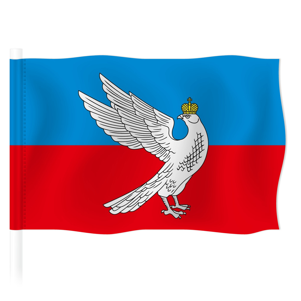 Флаг Суздали / Флаг города Суздаль / 90x135 см. #1