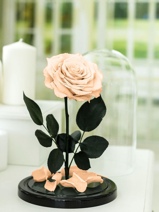 Живая Роза в колбе 27 см "Deluxe"/Стабилизированные цветы в стекле/сорт Флорибунда  #1