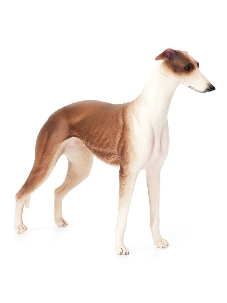 Фигурка животного Derri Animals Собака Грейхаунд, для детей, игрушка коллекционная декоративная, 87083, #1