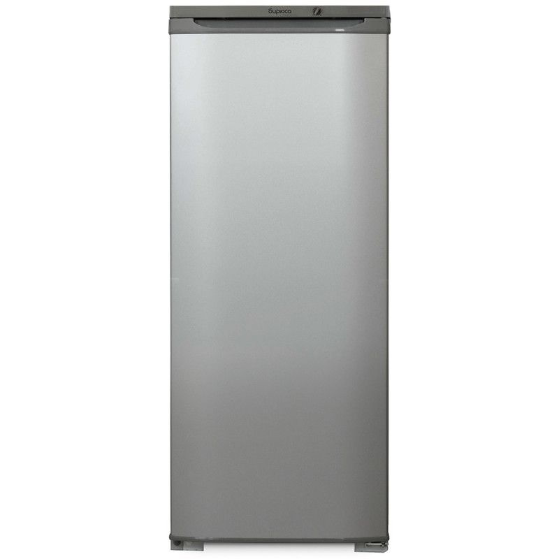 Холодильник Бирюса M 110, серебристый #1