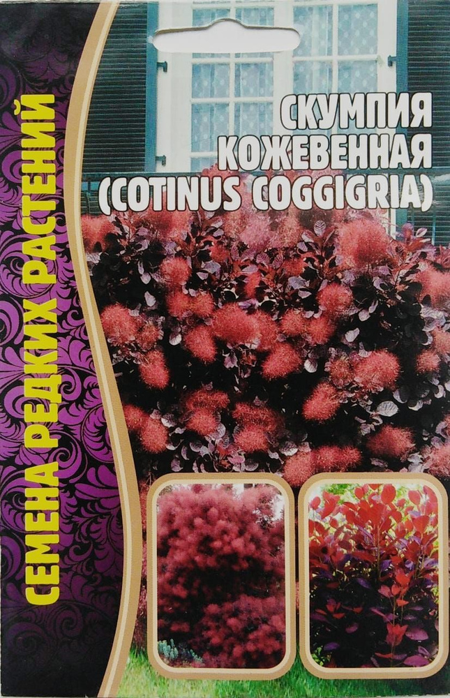 Семена кустарников: скумпия кожевенная 20шт семян #1