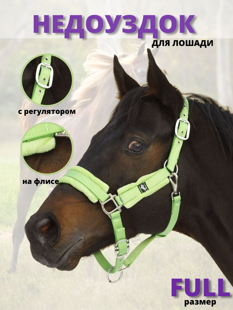 Sweethorse / Недоуздок  #1