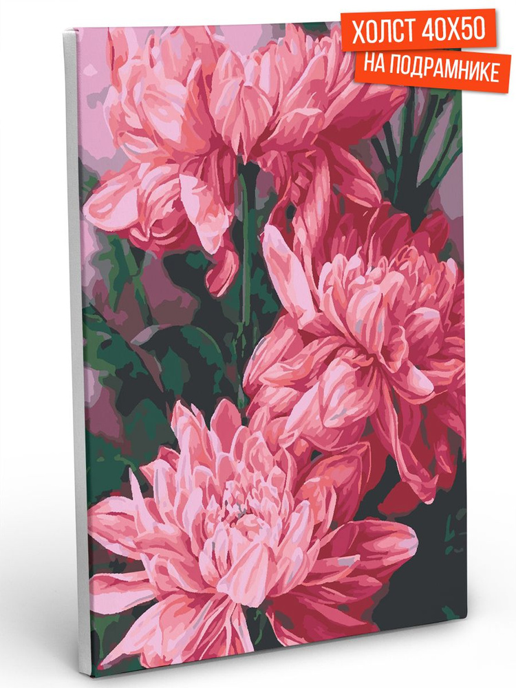 Картина по номерам Hobruk "Розовые пионы" на холсте на подрамнике 40х50, раскраска по номерам, набор #1
