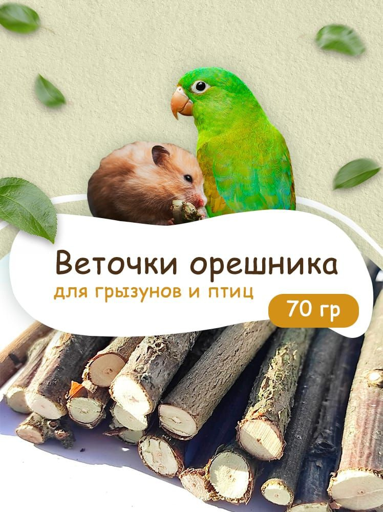 Веточки палочки орешника 70 гр. для грызунов и птиц. Угощение / Лакомство / Игрушка погрызушка для хомяков, #1