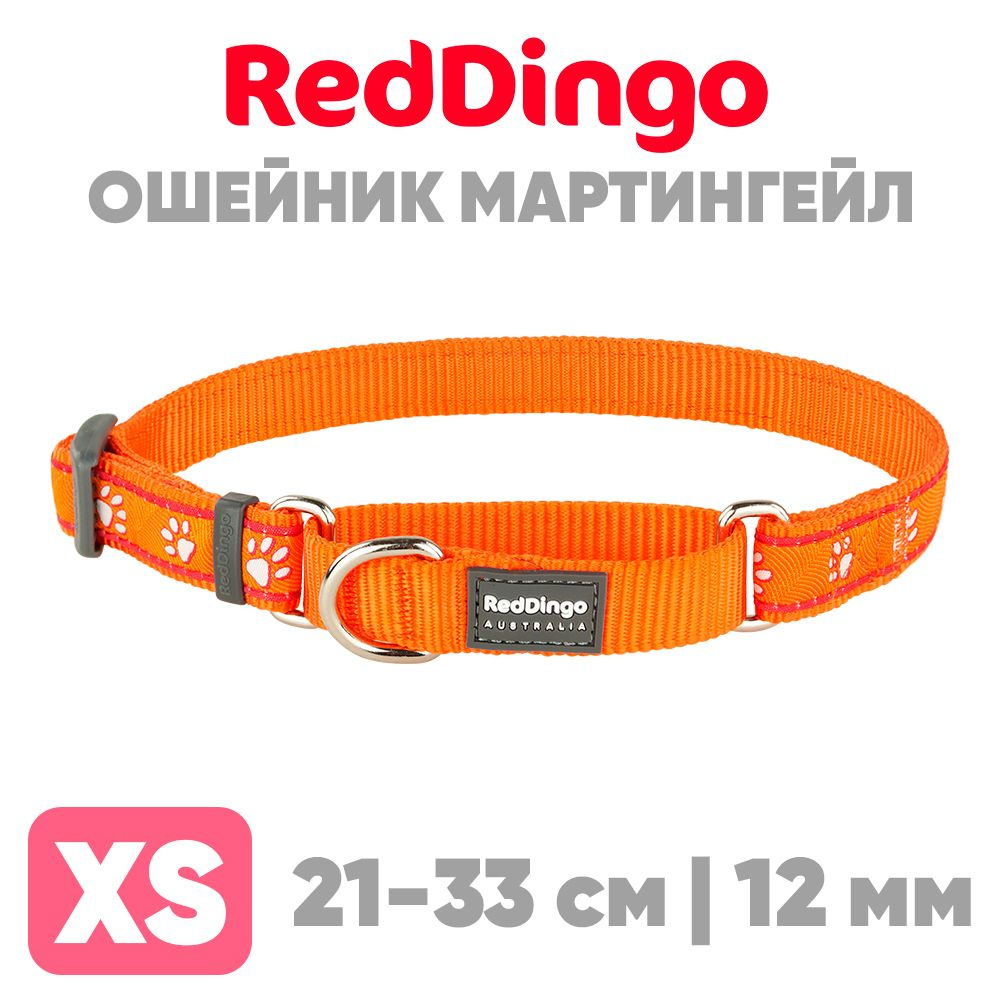 Ошейник мартингейл (полуудавка) для мелких пород собак Red Dingo оранжевый  #1