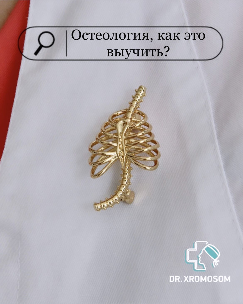 Dr.Xromosom Брошь #1