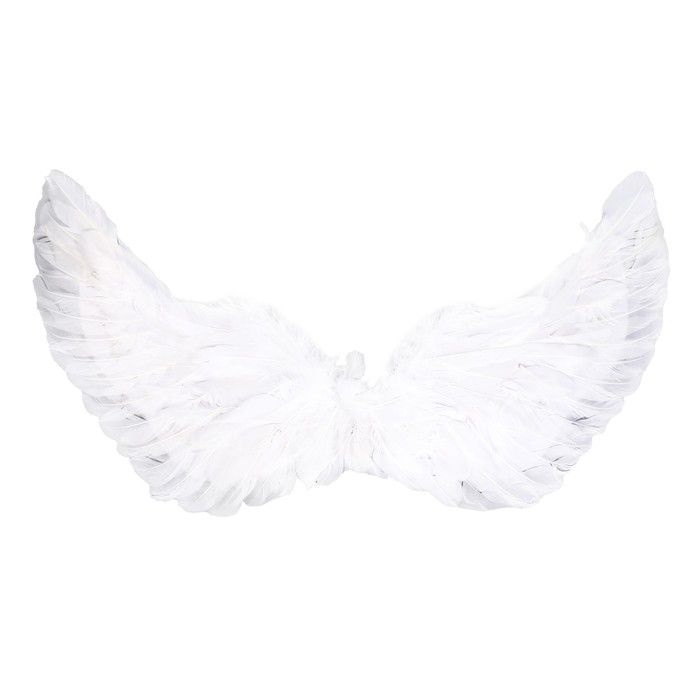 Карнавальные крылья 30 х 60 см, цвета МИКС #1