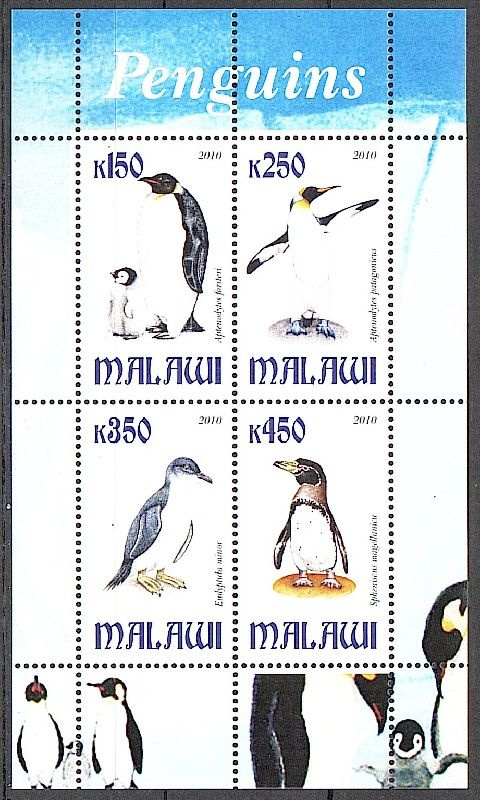 Чистый блок марок. "Пингвины". Малави. 2010 год #1