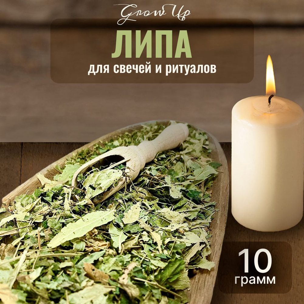 Липа сушеные листья 10 гр - сухоцветы для свечей, творчества и ритуалов  #1