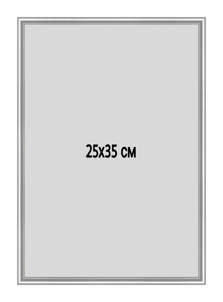 Фоторамка металлическая (алюминиевая) серебристая для постера, фотографии, картины 25х35 см. Рамка для #1