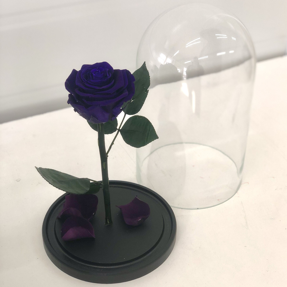 Стабилизированные цветы в стекле Роза, 28 см, 1100 гр, 1 шт #1