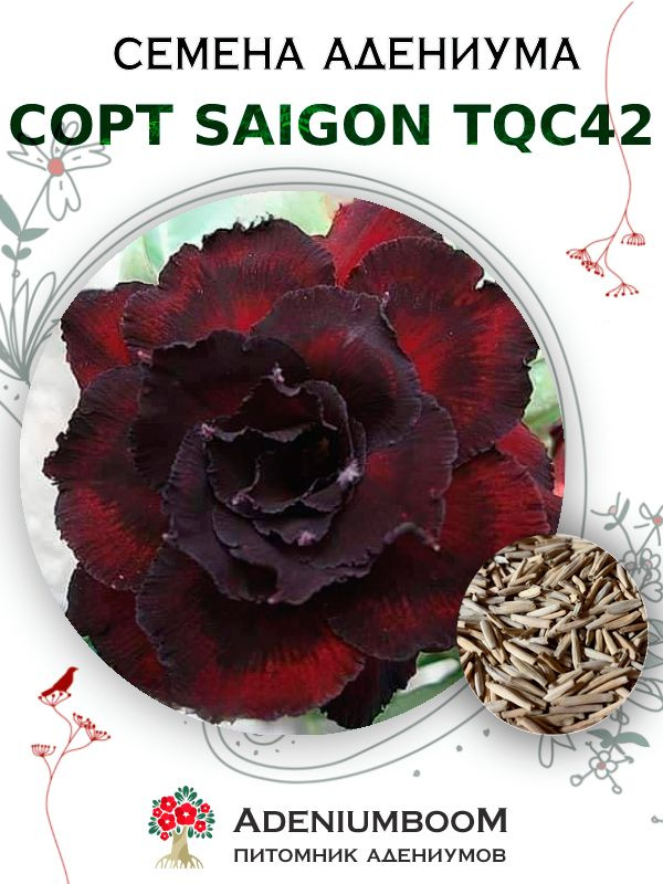 Семена Адениума Обесум от Saigon Adenium TQC42 (4шт.) / семена цветов комнатных суккулентов, набор семян #1