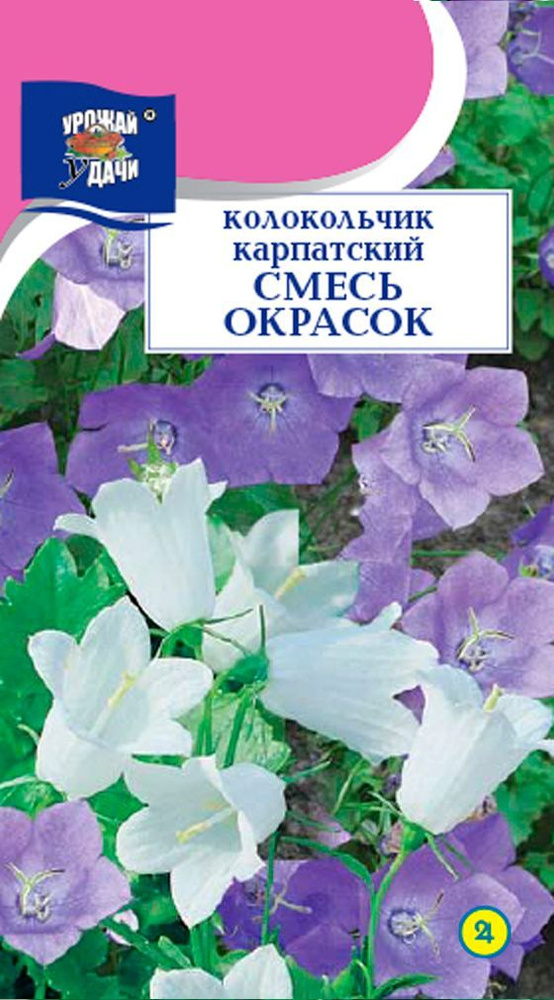 Семена Колокольчик Карпатский Смесь окрасок (Семена УРОЖАЙ УДАЧИ, 0,1г в упаковке)  #1