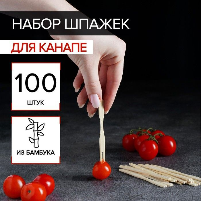 Шпажки для канапе из бамбука, 100 шт #1