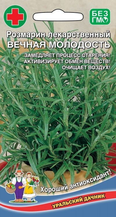 Розмарин лекарственный ВЕЧНАЯ МОЛОДОСТЬ (семена лечебного растения), 0,015 г. Многолетник. Великолепный #1