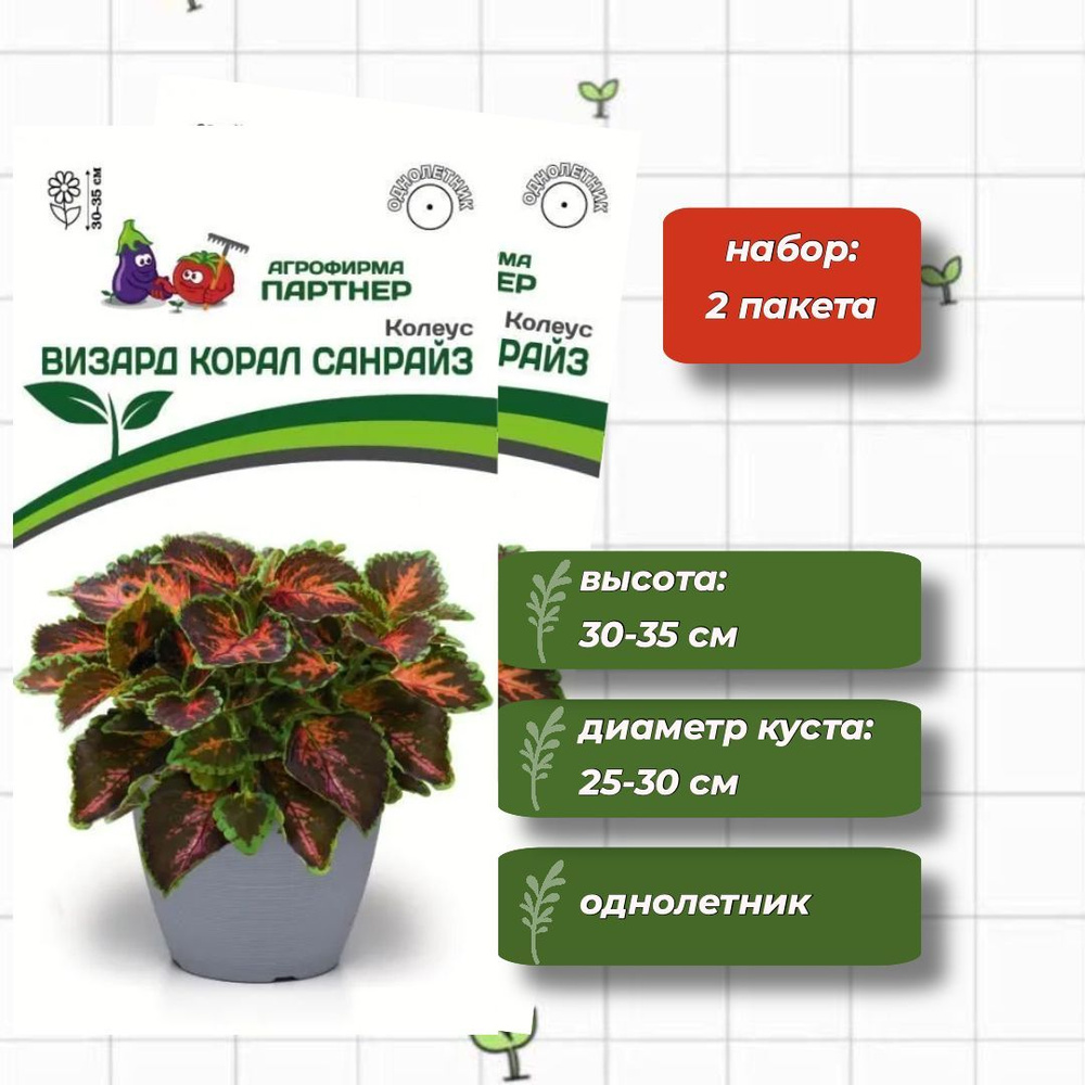 Колеус шлемниковидный Визард Корал Санрайз Агрофирма Партнёр 10 шт. - 2 упаковки  #1