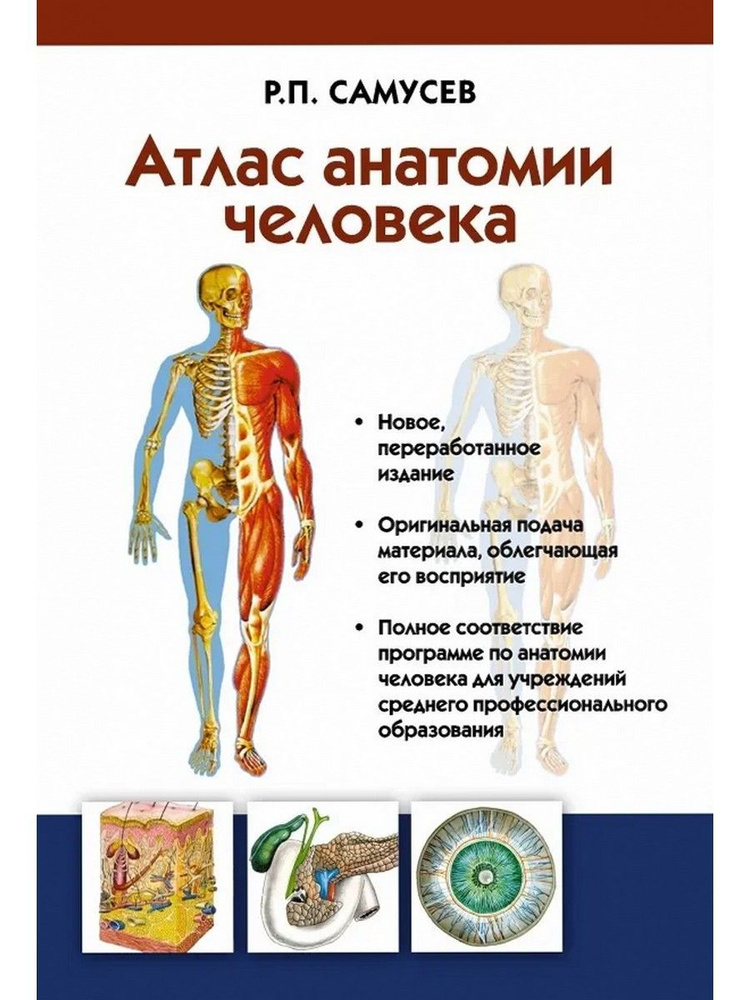 Атлас анатомии человека. Учебное пособие для студентов учреждений среднего профессионального образ | #1