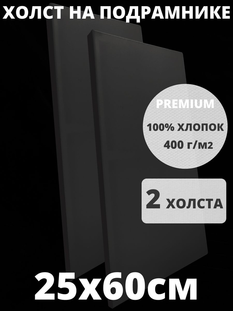 Холст на подрамнике грунтованный 25х60 см, плотность 400 г/м2 для рисования 2 шт  #1