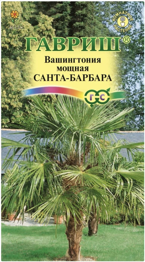 Вашингтония Робуста Санта-Барбара, 1 пакет, семена 3 шт, Гавриш  #1