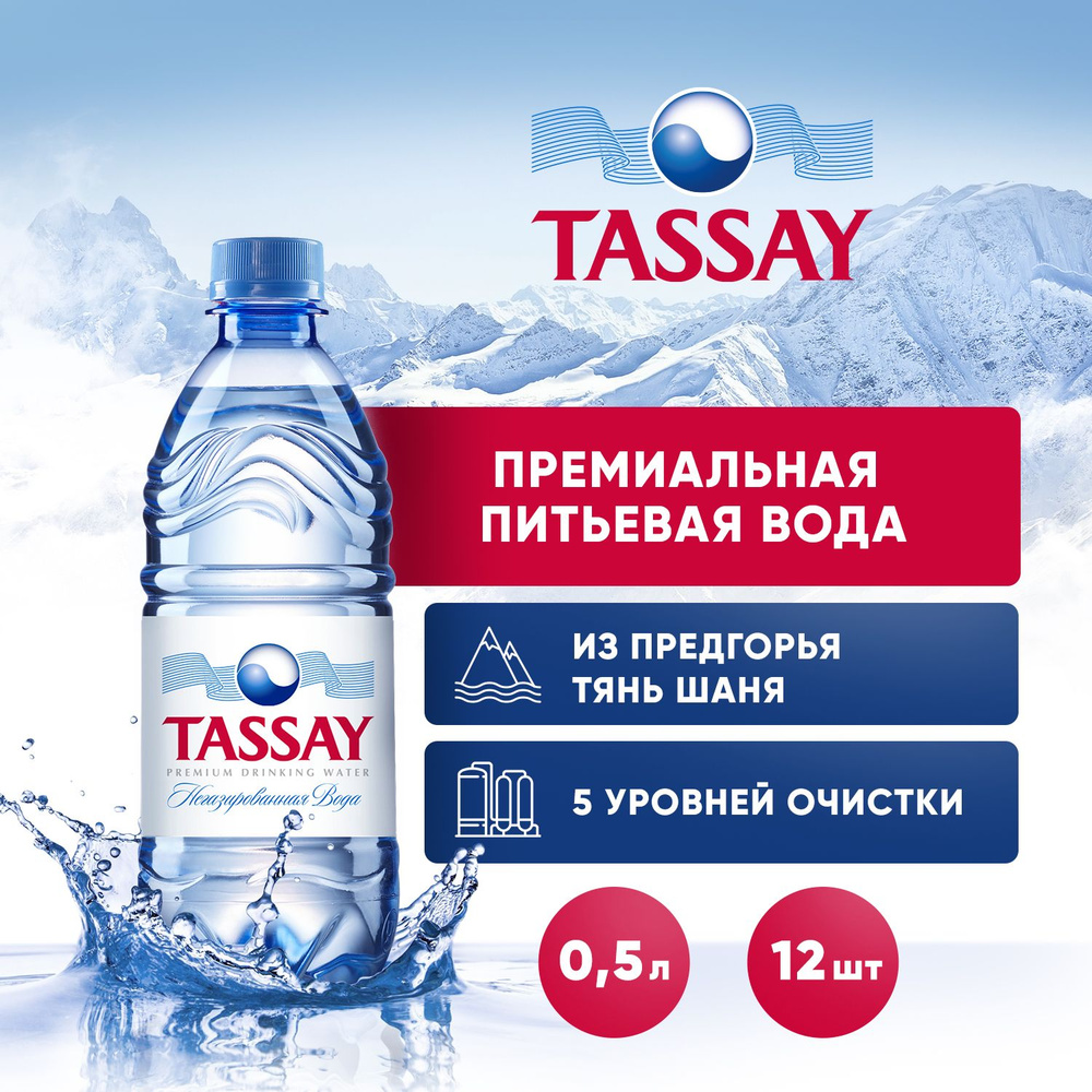 TASSAY Вода Питьевая Негазированная 500мл. 12шт #1