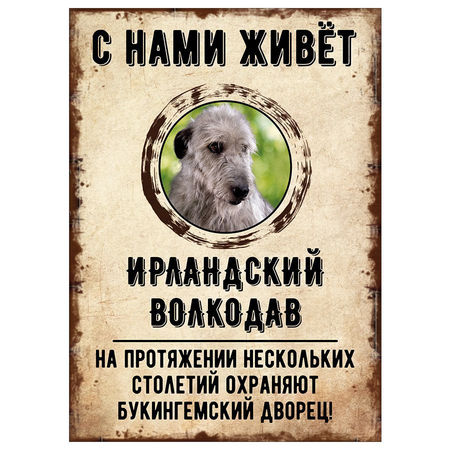 Табличка, декоративная, DANGER DOG, С нами живет Ирландский волкодав, 18см х 25см  #1