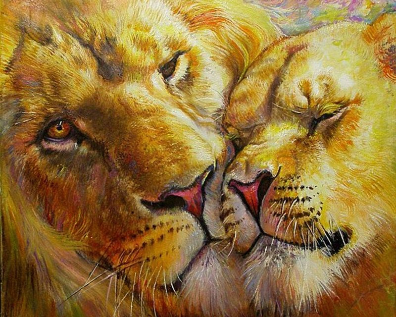 Картина по номерам на холсте с подрамником 40х50 Львиные нежности. Лев и львица. Влюбленная пара  #1